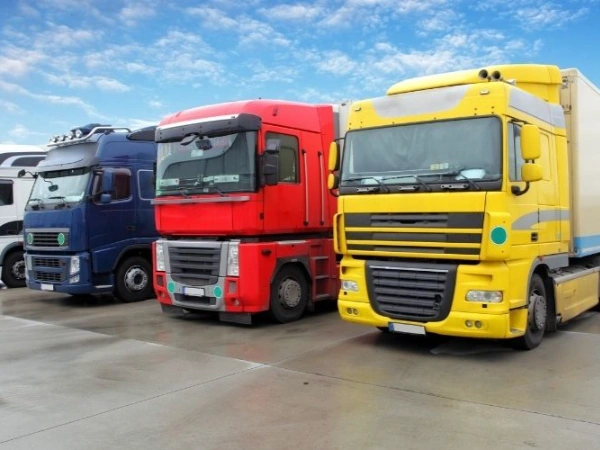 Adana Manyas Nakliye